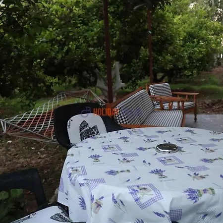 Dolphin Garden