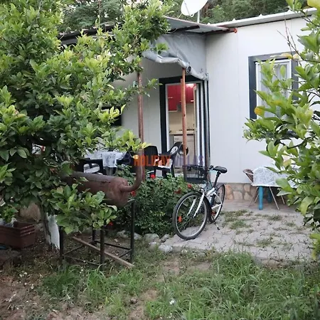 Dolphin Garden 別荘 フェティエ